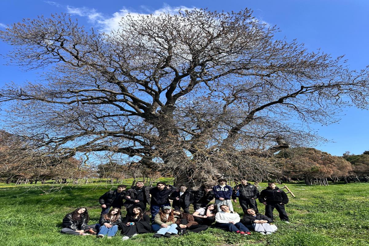 Özel Üsküdar Birey Anadolu Lisesi